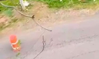 Autoridades del Valle en alerta por terrorismo