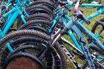 Imagen de Somos Movilidad entrega 118 bicicletas a estudiantes de Rionegro