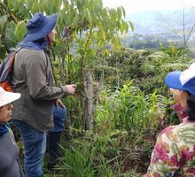 Protegen hábitat de Reinita del Canadá
