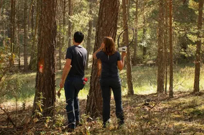 Imagen de Invertir en la salud de los bosques para frenar el fuego y dar vida al mundo rural