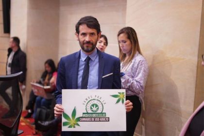 Imagen de  Gobierno nacional insistirá en proyecto de legalización de cannabis tras hundirse en el Senado