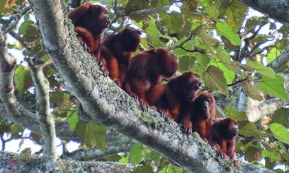 Reserva de Yotoco, santuario de biodiversidad