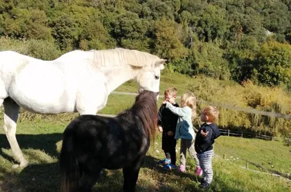 Socueto Santuario: rescatar animales y devolver vida al mundo rural