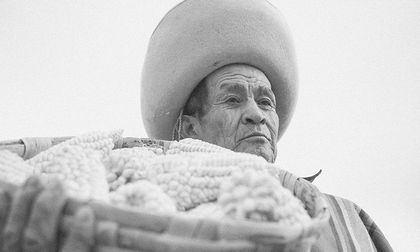 ¿Quién cuidará los adultos mayores en el país?