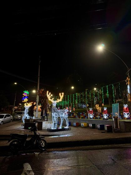 Imagen de Las fincas silleteras de Santa Elena abren sus puertas para vivir una Navidad auténtica