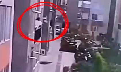 Indignación por mujer que habría arrojado a su mascota desde el balcón de su apartamento