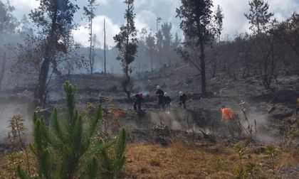 La Amazonía en llamas ¿Qué está haciendo el mundo para frenar esta crisis ambiental? Brasil, Colombia, Perú y Bolivia en problemas