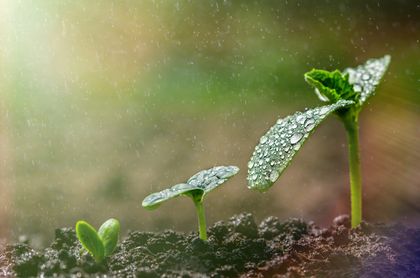 La Taxonomía ESG: sostenibilidad para no sostenibles