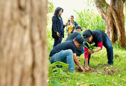 Imagen de  Con una nueva sembratón, empresas del Oriente reafirman su lucha contra el cambio climático