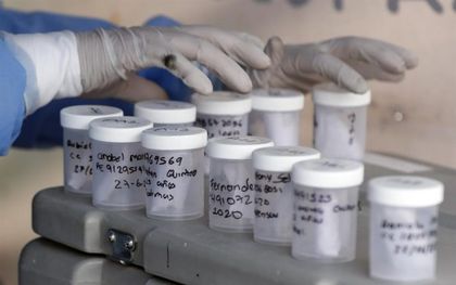 Imagen de  Dos mujeres y un hombre: los nuevos casos de contagio confirmados en El Carmen