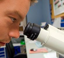 NeuMap, el primer atlas que define los siete estados de los neutrófilos