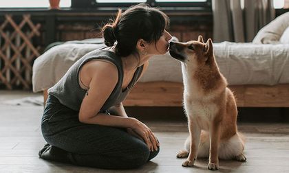 Técnicas para superar la fobia a los perros