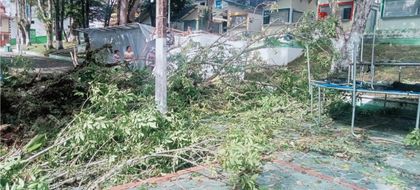 Imagen de  El Dagran brindará ayuda a las familias afectadas por fuertes vendavales en el Oriente