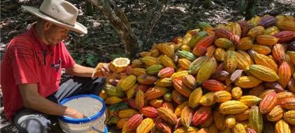 Imagen de  Así puede acceder al subsidio de Finagro para proteger sus cultivos