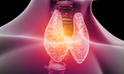 Cuide su tiroides: la glándula que guía el equilibrio de todo el cuerpo