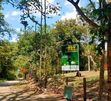 Más de 10 mujeres denuncian acoso sexual en Jardín Botánico de Tuluá