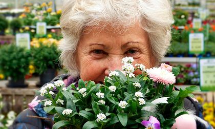 ¿Cómo envejecer saludablemente?