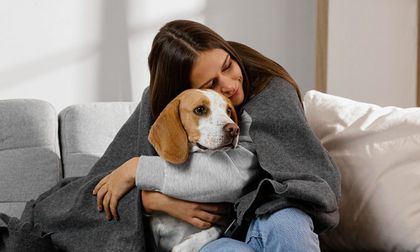 ¿Tu perro está absorbiendo tu tristeza sin que lo notes?