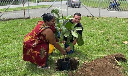 Espacios para la reconciliación con la naturaleza