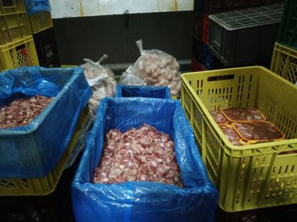 Imagen de  En operativo, autoridades hallaron cerca de 1,5 toneladas de pollo no apto para el consumo que se estaba vendiendo en Bello; el local fue...