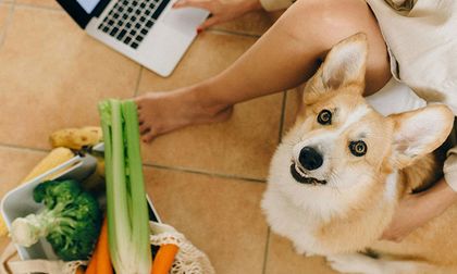 10 frutas y verduras que no sabías que tu perro puede comer