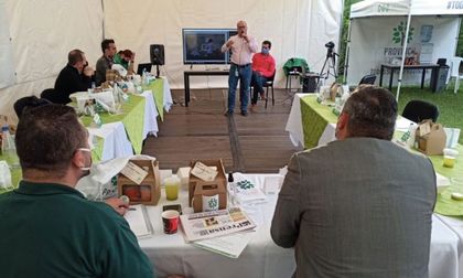 Imagen de  Proponen Sello de Confianza Provincial para 12 localidades del Oriente