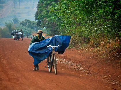 El carbón vegetal y la selva africana