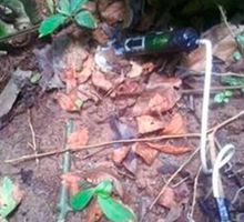 Tío de gobernador del Cauca entre afectados por campo minado