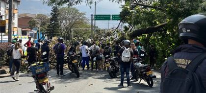 Imagen de  Autoridades anunciaron acciones ante accidentes por la caída de árboles sobre la vía en Medellín