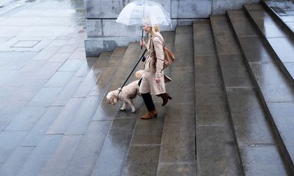 El fenómeno de la niña no será intenso, pero sí influyente: así cambiarán las temperaturas