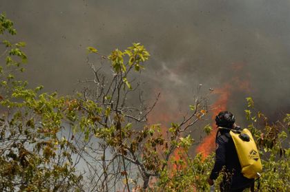 Imagen de  Gobierno hará un plan de recuperación ambiental en zonas afectadas por incendios forestales