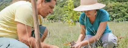 Imagen de  Pago por servicios ambientales, una apuesta por la conservación de los bosques nativos