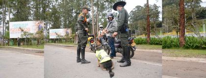 Imagen de Con el Centro de Monitoreo y diferentes estrategias, El Retiro mejora los índices de seguridad