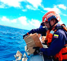 Armada devuelve más de 800 kilos de especies marinas
