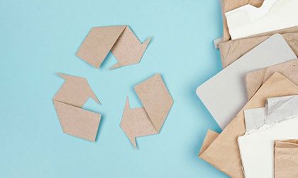 Desmintiendo los mitos del papel: ¿Es tan dañino para el medio ambiente?