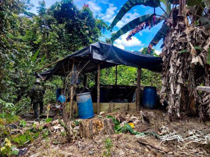 Imagen de  Fuerza pública destruyó laboratorio de estupefacientes en San Carlos, han hallado 6 este año en el Oriente antioqueño
