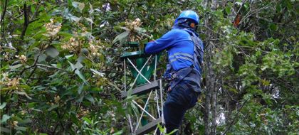 Imagen de  Dos nuevos pasos de fauna fueron instalados en Medellín para proteger a los animales silvestres