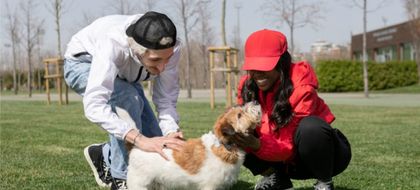 Imagen de  Ley Empatía: la educación en protección animal será obligatoria en todos los colegios del país