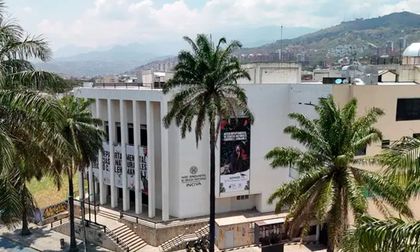 Museo de Ciencias Naturales lanza donatón de árboles de Navidad en Cali