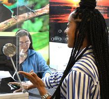 ¿No alcanzó el ‘Descuentazo’ del 80% en intereses y sanciones del impuesto vehicular?