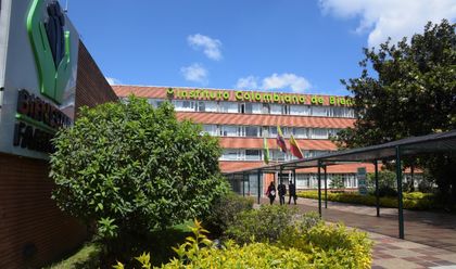 Imagen de ICBF ha atendido más de 300 casos de explotación sexual en 2024. Antioquia lidera las cifras