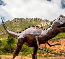 ¿Se acerca la sexta extinción masiva de la Tierra?