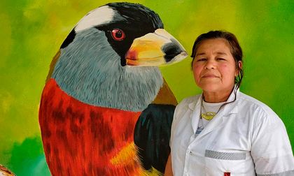 Aves Cali: conozca la finca adaptada para avistar pájaros