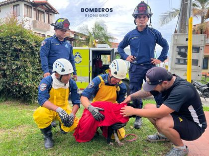 Bomberos de Rionegro rescataron a un perrito que había caído a un pozo