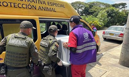 Multa por maltrato animal en Cali supera los 60 millones y el caso será enviado a la Fiscalía