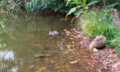 Humedales de Cali pierden nivel de agua: Dagma intensifica el monitoreo durante el Fenómeno de El Niño
