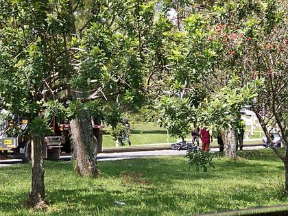 Imagen de  Una motociclista falleció tras accidente tránsito en Rionegro