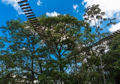 Construirán once pasos seguros para la fauna silvestre en Las Palmas