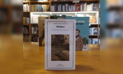 Imagen de  Retorno a lo natural: sentimientos a través de Walden