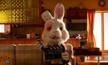 ‘Save Ralph’: la campaña en contra de la experimentación con animales que se volvió viral en el mundo
